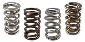 Engine Valve Springs